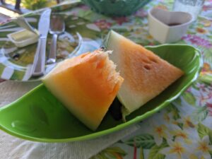 Polynesian Watermelon